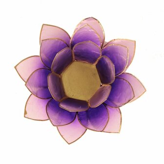 Lotus sfeerlicht violet met goudrand