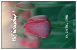 Geschenkkaartje 'Veel beterschap' Moge Allah je shifa schenken