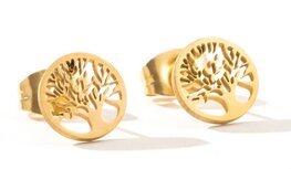 Oorbelletjes Tree of life Oorbelletjes Tree of life