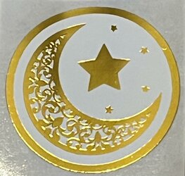 Ronde glossy stickertjes "maan en ster"  goud 20 stuks (SG9)